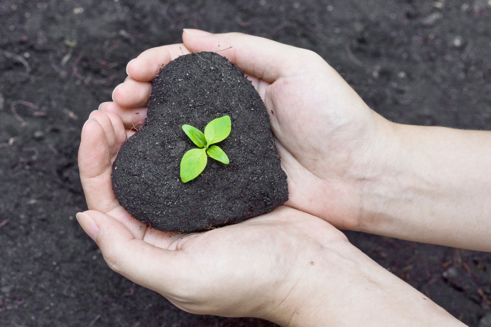 The Importance Of Corporate Social Responsibility Programs For Employee 