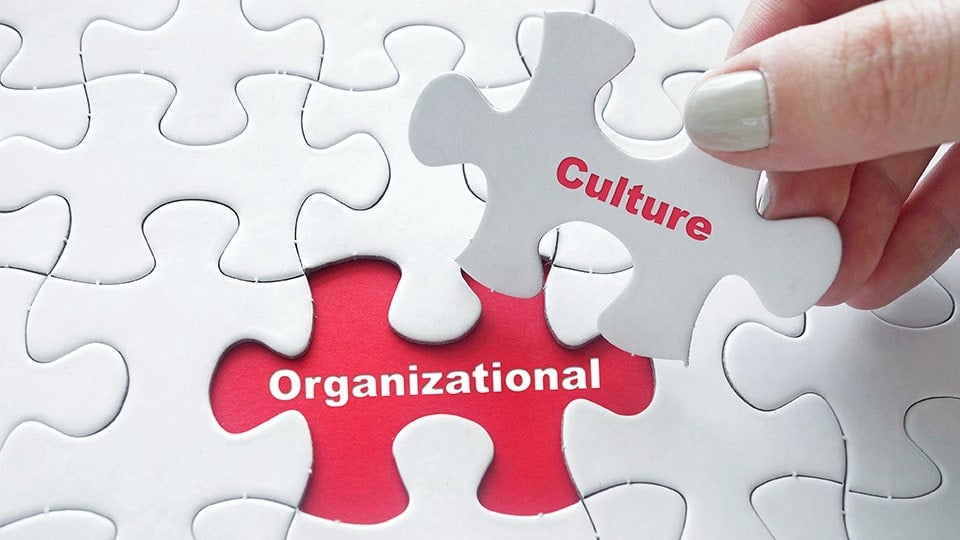 presentation about organization cultures