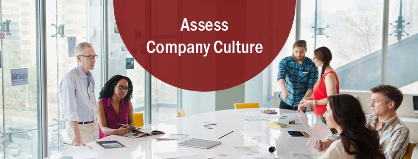 Assess Company Culture