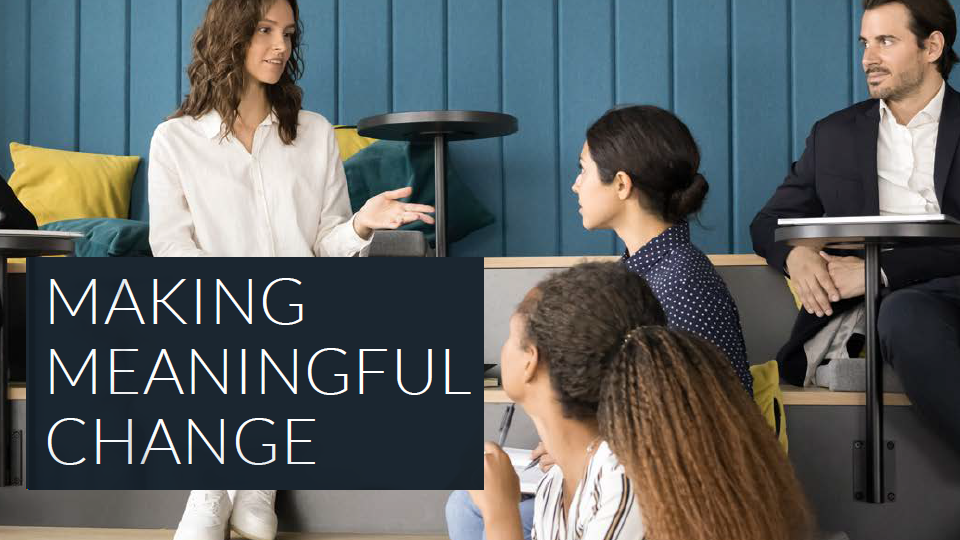 Belonging Levers - Making meaningful change